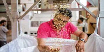 Στον Καναδά τρώνε φακές Κοζάνης – Αφιέρωμα του “Γαστρονόμου” στα «Προϊόντα Γης Βοΐου»