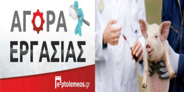 Προκηρύχθηκαν θέσεις εργασίας στη Διεύθυνση Αγροτικής Οικονομίας και Κτηνιατρικής της Φλώρινας