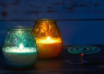 Πώς θα κρατήσετε μακριά τα ενοχλητικά έντομα