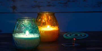 Πώς θα κρατήσετε μακριά τα ενοχλητικά έντομα