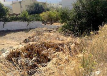 Δήμος Φλώρινας: Τελική ειδοποίηση για καθαρισμό οικοπέδων και ακάλυπτων χώρων