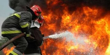 Φωτιά σε δασική έκταση στο Βροντερό Πρεσπών