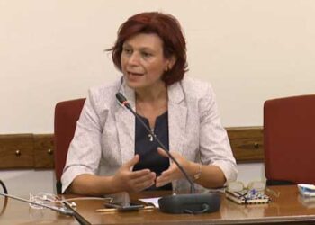 Τοποθέτηση της Παρασκευής Βρυζίδου στην Ειδική Μόνιμη Επιτροπή Έρευνας και Τεχνολογίας της Βουλής (video)