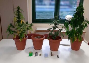 Συνελήφθη 20χρονος στην Κοζάνη για κατοχή ναρκωτικών και παράβαση της νομοθεσίας περί όπλων