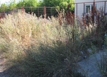 Τραγική η κατάσταση στον περιβάλλοντα χώρο του αγωνιστικού χώρου στο γήπεδο Πτολεμαΐδας