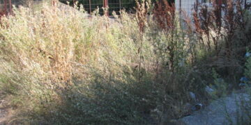 Τραγική η κατάσταση στον περιβάλλοντα χώρο του αγωνιστικού χώρου στο γήπεδο Πτολεμαΐδας