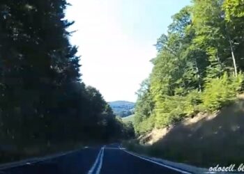 Η μαγική δασική διαδρομή από τον πρόσφατα ασφαλτοστρωμένο δρόμο Βλάστη – Κλεισούρα – VIDEO