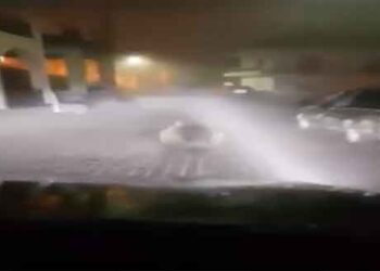 Οδηγός στη Βλάστη δείχνει σε αρκούδα που κατέβηκε στο χωριό το δρόμο πίσω για το βουνό! ΔΕΙΤΕ ΤΟ ΑΠΙΘΑΝΟ ΒΙΝΤΕΟ