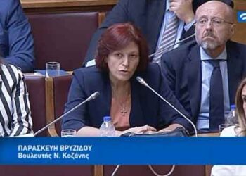 Τοποθέτηση της Παρασκευής Βρυζίδου Βουλευτή ΝΔ Ν. Κοζάνης για την Υγεία, στη Διαρκή Επιτροπή Κοινωνικών Υποθέσεων της Βουλής- ΒΙΝΤΕΟ