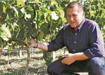 Άγγελος Ιατρίδης, Κτήμα ΑΛΦΑ Αμυνταίου: “Η Ελλάδα βγάζει μοναδικά και αυθεντικά κρασιά”