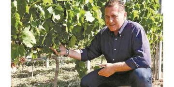 Άγγελος Ιατρίδης, Κτήμα ΑΛΦΑ Αμυνταίου: “Η Ελλάδα βγάζει μοναδικά και αυθεντικά κρασιά”