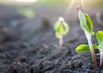 70 εκατομμύρια ευρώ για 5.000 μικροκαλλιεργητές σε ολόκληρη τη χώρα