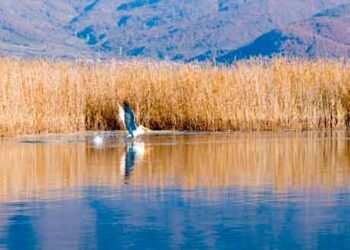 Η Μικρή και η Μεγάλη Πρέσπα στη λίστα με τις ωραιότερες λίμνες του κόσμου