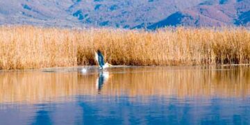 Η Μικρή και η Μεγάλη Πρέσπα στη λίστα με τις ωραιότερες λίμνες του κόσμου