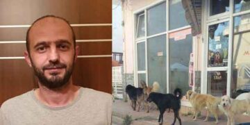 Κινητικότητα για το θέμα των αδέσποτων  – Από τα Παραπολιτικά του Παλμού της Τετάρτης 18 Σεπτεμβρίου