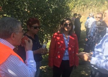 Ο Υφυπουργός Ενέργειας επισκέφθηκε τον οπωρώνα της ΔΕΗ και δοκίμασε μήλα