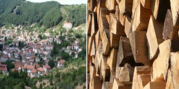 Καθυστερήσεις στην ξύλευση με διαμαρτυρίες των κατοίκων στις τοπικές κοινότητες