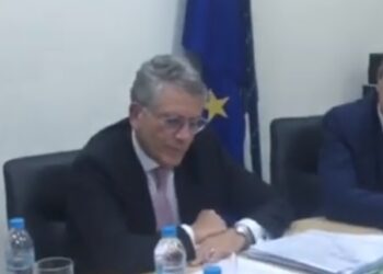 Γεράσιμος Θωμάς: “Προσπαθούμε να βρούμε τη χρυσή τομή για την εθνική ενεργειακή στρατηγική για τη χώρα” (video)