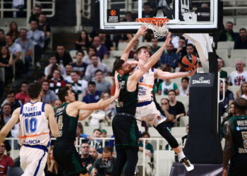 Η αλεπού του στοιχήματος με σημεία από 2.75 ως 4.04