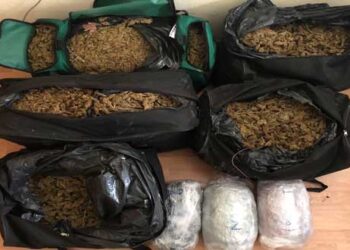 Σε εξέλιξη αστυνομική επιχείρηση για τον εντοπισμό δυο ατόμων, οι οποίοι μετέφεραν με αυτοκίνητο, 43 κιλά και 210 γραμμάρια ακατέργαστης κάνναβης