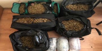 Σε εξέλιξη αστυνομική επιχείρηση για τον εντοπισμό δυο ατόμων, οι οποίοι μετέφεραν με αυτοκίνητο, 43 κιλά και 210 γραμμάρια ακατέργαστης κάνναβης