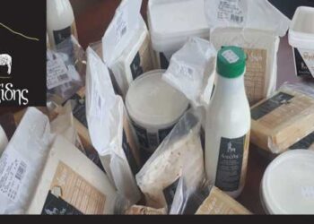 Τυροκομικά και γαλακτοκομικά προϊόντα ΑΠΑΖΙΔΗΣ – Προϊόντα υψηλής ποιότητας και αυθεντικές γεύσεις! Δείτε που θα τα βρείτε