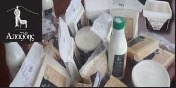 Τυροκομικά και γαλακτοκομικά προϊόντα ΑΠΑΖΙΔΗΣ – Προϊόντα υψηλής ποιότητας και αυθεντικές γεύσεις! Δείτε που θα τα βρείτε