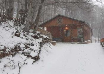 Έκλεισε λόγω του χειμέριου ύπνου το Καταφύγιο της Αρκούδας στο Νυμφαίο