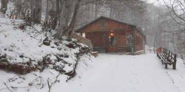 Έκλεισε λόγω του χειμέριου ύπνου το Καταφύγιο της Αρκούδας στο Νυμφαίο