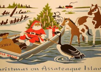 Ευχετήριες κάρτες  – Από τα Παραπολιτικά του Παλμού της Τετάρτης 1 Ιανουαρίου