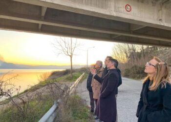 Ο καθηγητής Στ. Μητούλης στις 3 Φεβρουαρίου στο Περιφερειακό Συμβούλιο για συζήτηση για τη Γέφυρα των Σερβίων