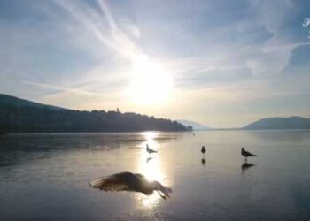 Πάγωσε η λίμνη της Καστοριάς- Πανέμορφες εικόνες! Δείτε το VIDEO του Studio Trasias