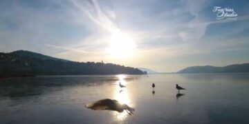 Πάγωσε η λίμνη της Καστοριάς- Πανέμορφες εικόνες! Δείτε το VIDEO του Studio Trasias