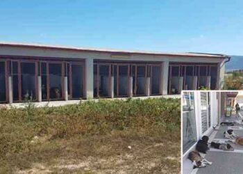 Δήμος Εορδαίας: Συστάθηκε η πενταμελής επιτροπή για τα αδέσποτα – Σε ένα 10ήμερο 30 νέα κελιά στο Κυνοκομείο – Εργασίες και στο χώρο της ΑΕΒΑΛ – Σύμβαση με 2 κτηνιάτρους για στειρώσεις