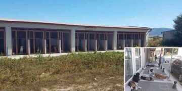 Δήμος Εορδαίας: Συστάθηκε η πενταμελής επιτροπή για τα αδέσποτα – Σε ένα 10ήμερο 30 νέα κελιά στο Κυνοκομείο – Εργασίες και στο χώρο της ΑΕΒΑΛ – Σύμβαση με 2 κτηνιάτρους για στειρώσεις