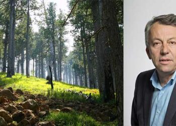 Η Δ. Μακεδονία πρωτοπορεί με πιστοποίηση των δασών της
