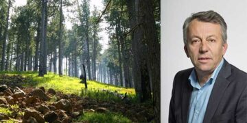 Η Δ. Μακεδονία πρωτοπορεί με πιστοποίηση των δασών της