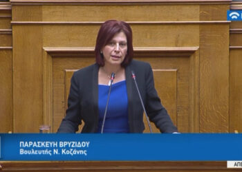 Ομιλία της Παρασκευής Βρυζίδου στη Βουλή , για «Επίδομα γέννησης και λοιπές διατάξεις»