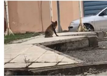 Μια διαφορετική επίσκεψη στο νοσοκομείο Γρεβενών