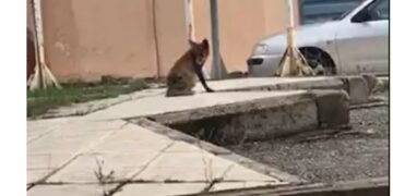 Μια διαφορετική επίσκεψη στο νοσοκομείο Γρεβενών