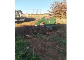 Νεκρή αρκούδα μετά από τροχαίο έξω από την Μεσοποταμία Καστοριάς