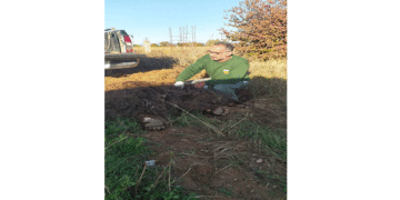 Νεκρή αρκούδα μετά από τροχαίο έξω από την Μεσοποταμία Καστοριάς