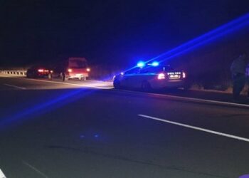 Γρεβενά: Νεκρή αρκούδα σε τροχαίο με ΙΧ στην Εγνατία Οδό (VIDEO)