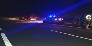 Γρεβενά: Νεκρή αρκούδα σε τροχαίο με ΙΧ στην Εγνατία Οδό (VIDEO)