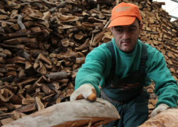 Αλλάζουν όλα στο επίδομα θέρμανσης: Φυσικό αέριο, υγραέριο, ξύλα και πέλετ στην επιδότηση -Καταργούνται οι ζώνες