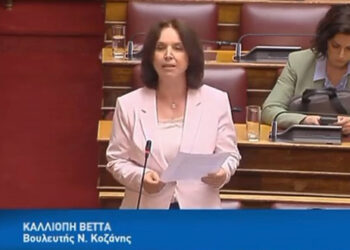 Καλλιόπη Βέττα: «Κοινοβουλευτική ερώτηση για τα προβλήματα των κροκοπαραγωγών» (δελτίο τύπου)