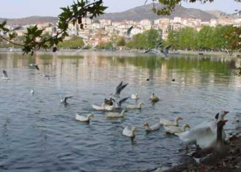 Η ΠΕ Καστοριάς ενημερώνει για τα Μέτρα οικονομικής στήριξης για περιοχές που εντάσσονται στο επίπεδο 4 «Αυξημένου Κινδύνου»