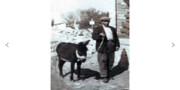 Ο Σάλτσον και ο τοπογράφον- Του Παναγιώτη Μωυσιάδη