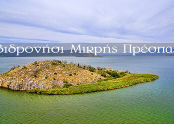Το νησί όπου δεν επιτρέπονται οι άνθρωποι στην Μικρή Πρέσπα