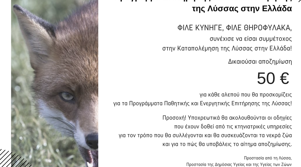 Αξιολόγηση της αποτελεσματικότητας  των εμβολιασμών των κόκκινων αλεπούδων μετά την εμβολιαστική εκστρατεία του φθινοπώρου 2020-Έναρξη Ενεργητικής Επιτήρησης